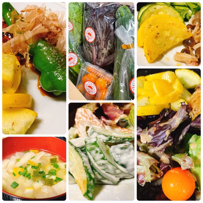 みんなの投稿の画像