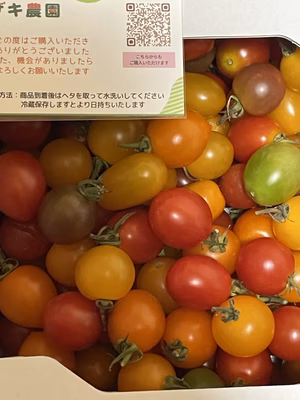 みんなの投稿の画像