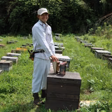 伊藤邦敏 | 伊藤養蜂園