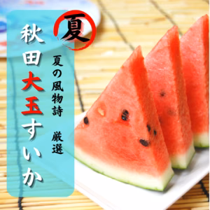 旬の秋田県産 大玉 スイカ  小玉 夏まるすいか お盆 お中元 送料無料 