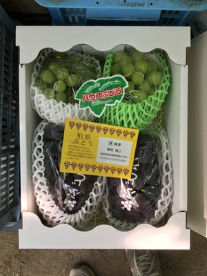 大阪府柏原市 まるかん農園 横尾博之さんの生産者プロフィール ポケットマルシェ 産直 産地直送 通販 旬の果物 野菜 魚介をお取り寄せ