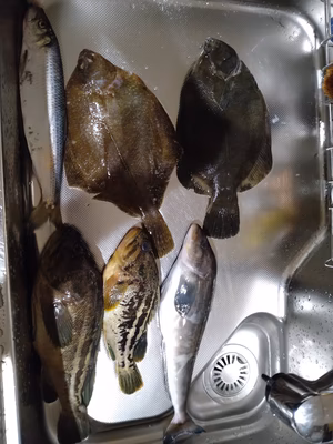 みんなの投稿の画像