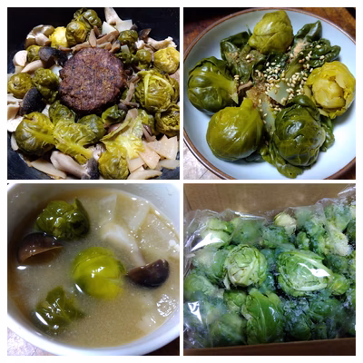 みんなの投稿の画像