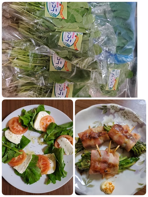 みんなの投稿の画像