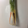 カラフルスティック人参 5色