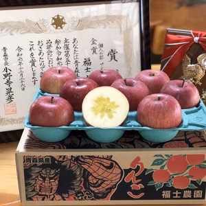 【予約販売】11月発送！「サンふじ」3kg 訳アリ家庭用りんご（7～12玉）