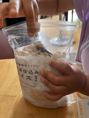 みんなの投稿の画像