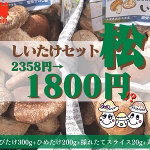 【お試しBOX】豪華なしいたけ詰め合わせセット！【松セット】