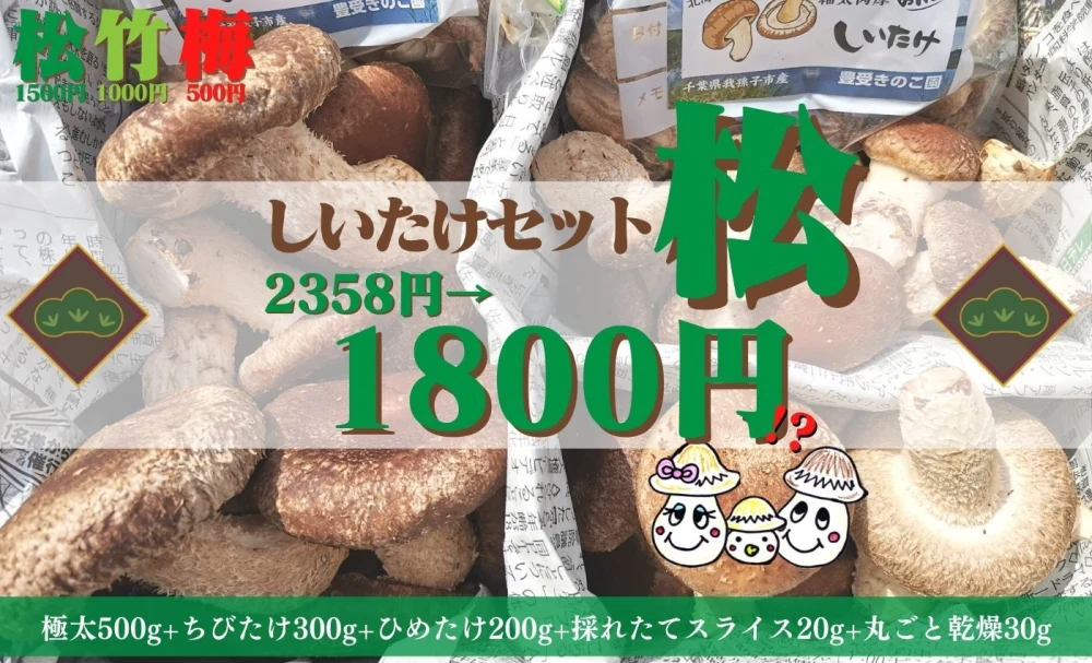 【お試しBOX】豪華なしいたけ詰め合わせセット！【松セット】