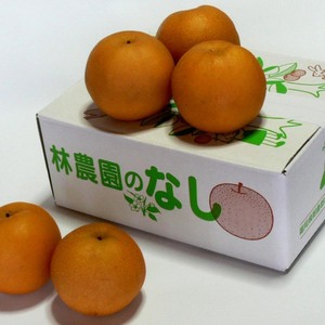 家庭用・日迎梨（林農園オリジナル品種）　約2.5kg(6〜4玉)