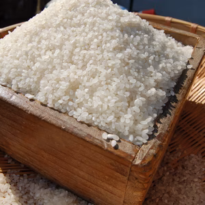 【令和7年産新米】【石巻産】『あかまのお米』～ササニシキ10㎏～