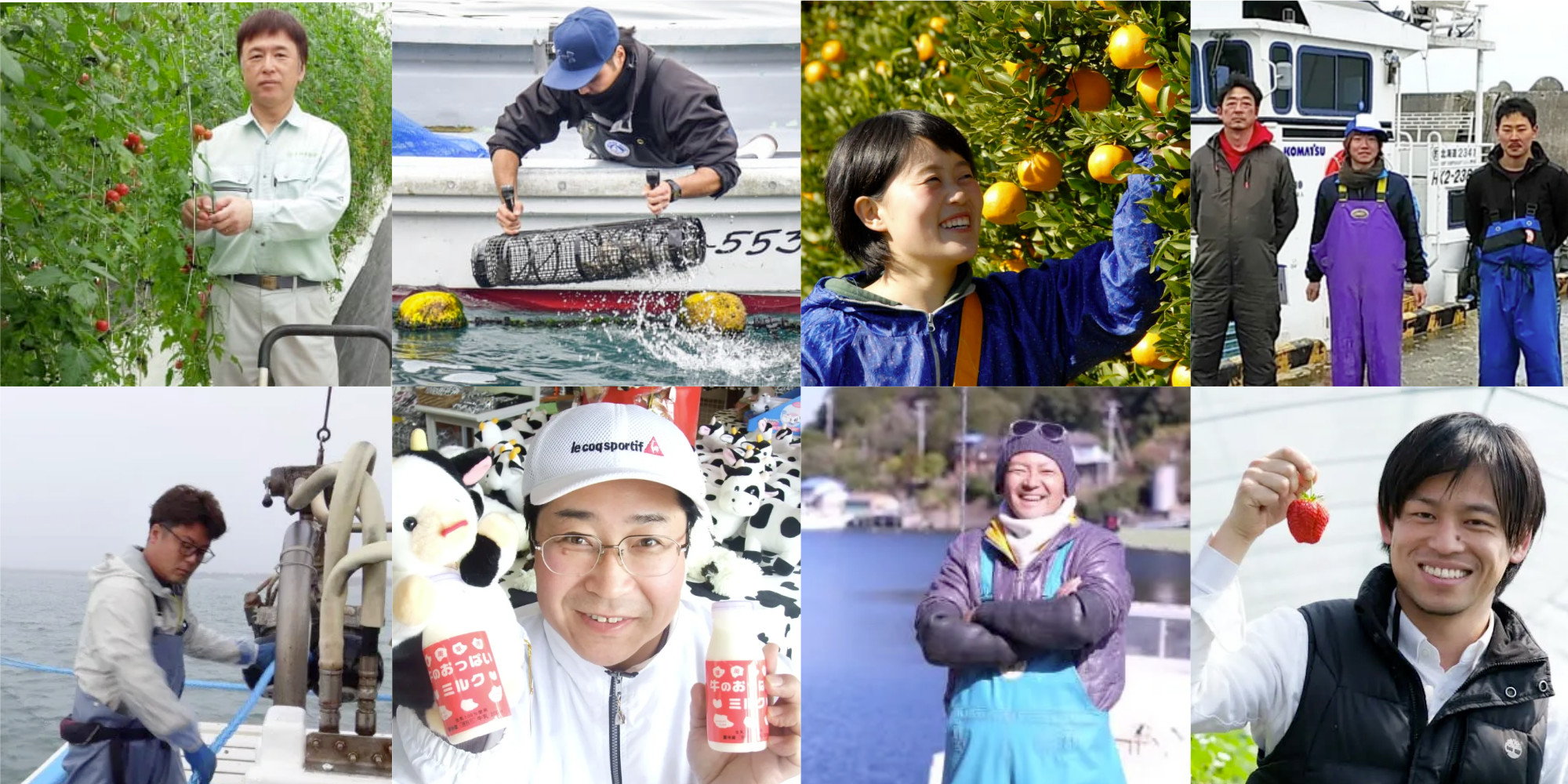 223】和歌山産自然栽培「南高梅」10Kg 農薬不使用・無肥料 詳し