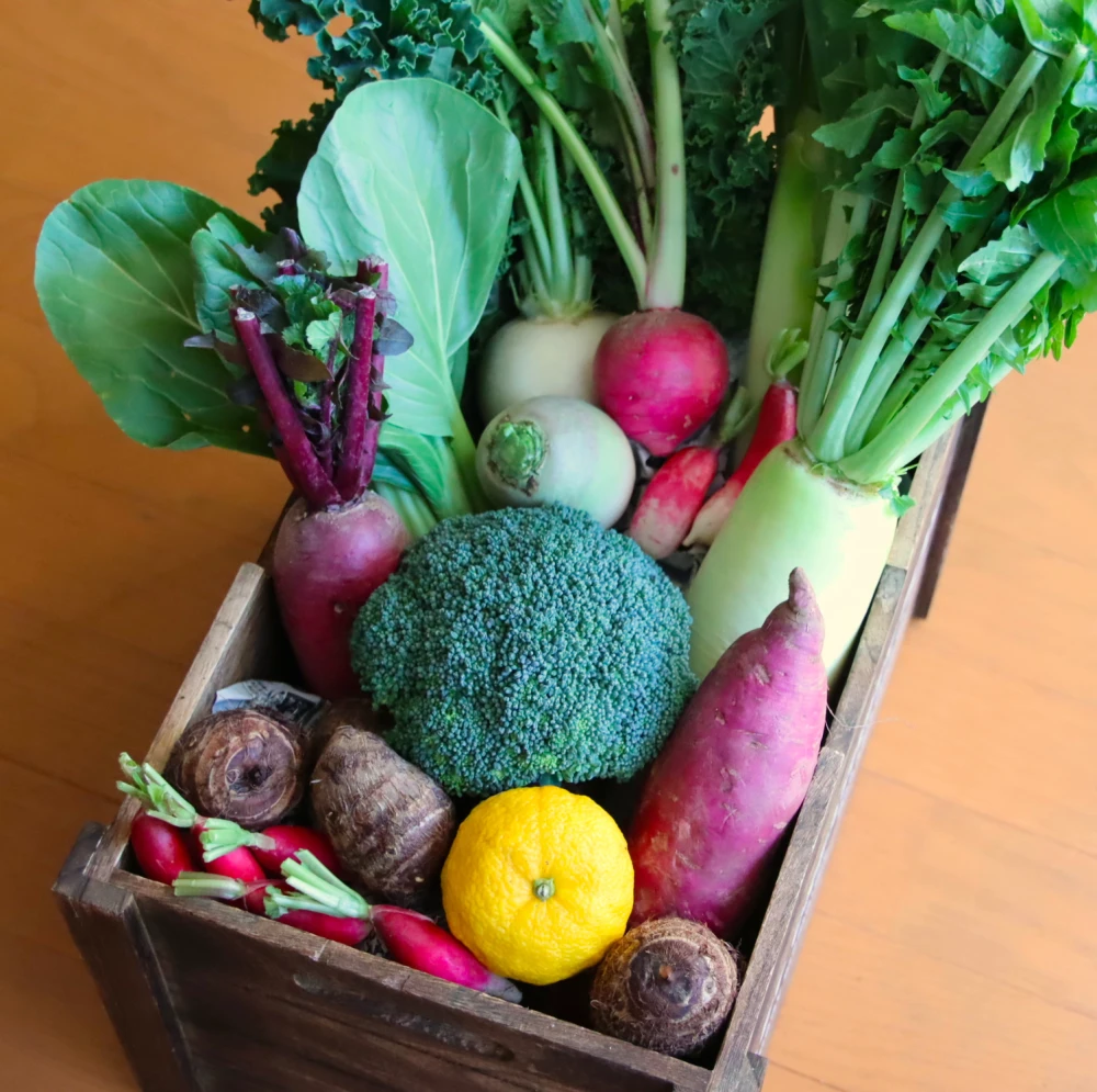 旬のお野菜を少しずつたくさん！甲斐路の広大な山々に見守られて育ったお野菜セット