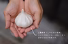 【農薬、化学肥料不使用】ニンニク1kg 程よい香りと濃厚な旨味