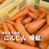 所沢特産　美味しい人参　愛紅　（洗い・葉なし・※不揃い品）