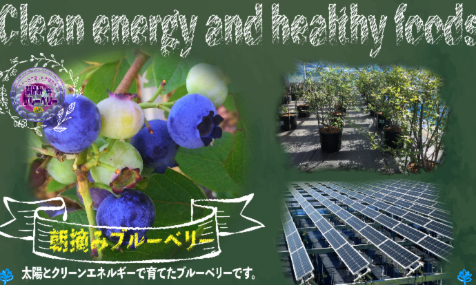 税込) 2022年産冷凍ブルーベリー3kg ❪関東近県送料込み❫