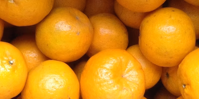 「子どもに安心して食べさせられる」と言って売りたくはないんです