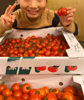 みんなの投稿の画像