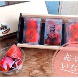 【冷凍いちご】おやついちご　3品種セット
