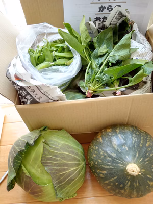 みんなの投稿の画像