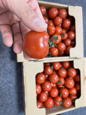 みんなの投稿の画像