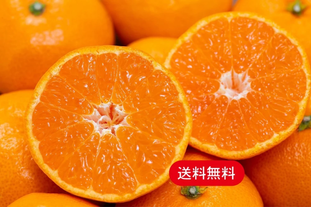 【送料無料！】超絶人気の夕やけみかん（3㎏）