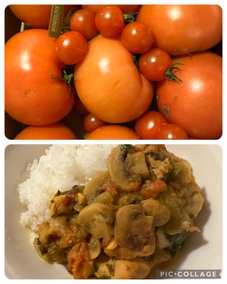 みんなの投稿の画像