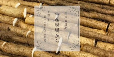 うそ…アレのぬか漬け…旨いんだ…😮2月後半の生産現場から