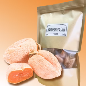 ⭕️今年もよろしくです❗️送料600円⭕️　飯田HOSHI柿 