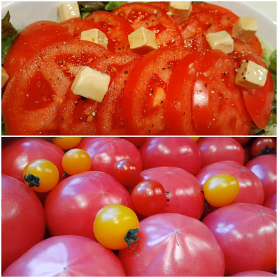 みんなの投稿の画像