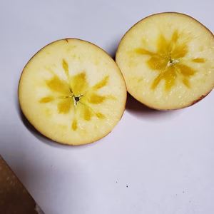 蜜チェック済み樹上完熟サンふじ中小玉