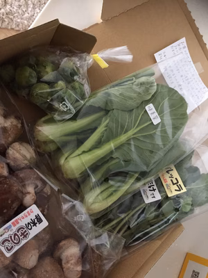 みんなの投稿の画像