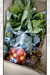 湖国からの旬便り♪採れたて野菜セット