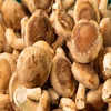 まなっこ椎茸