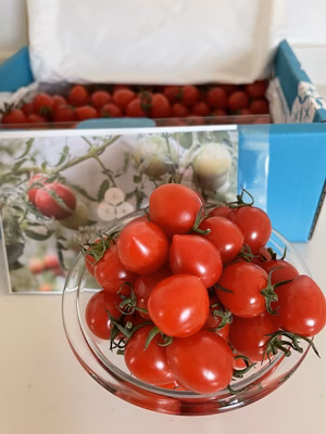 みんなの投稿の画像