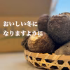 年末予約便 里芋【とろりん】4.5kg 土付き 【野菜ソムリエサミット受賞】