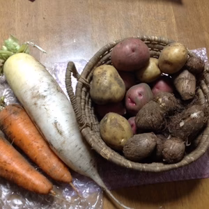 自然栽培　ベストセラー　ニンジン、ジャガイモ、大根、里芋4品6種セット