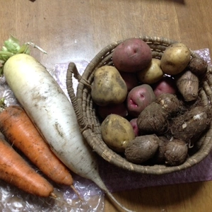 自然栽培　ベストセラー　ニンジン、ジャガイモ、大根、里芋4品6種セット