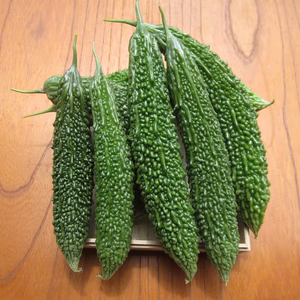 ゴーヤ　　寒冷地夏野菜