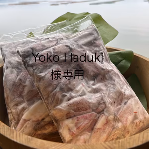 Yoko Haduki様専用ページ