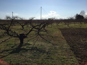 ファイル_6-1024x768