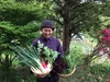 ［土曜発送］子育て農家の野菜セット　選べる2サイズ（常温便）