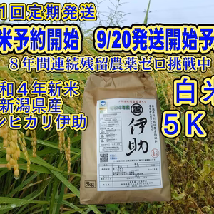 「10月～定期便」新米 新潟産コシ伊助８年連続残留農薬ゼロ挑戦中　５Ｋｇ