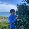 田部岳美