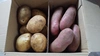 【農薬不使用】フランスジャガイモ 紅白セット ３キロ