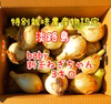 淡路島baby新玉ねぎ3キロ
