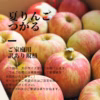 大人気！【つがる】家庭用訳あり規格/特別栽培/ネオニコ系農薬不使用/冷蔵便