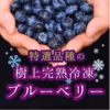 ＜特選＞甘くて皮がやわらかな品種だけの樹上完熟冷凍ブルーベリー