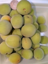 こだわり梅大粒（薄黄色）赤み硬め　キズ汚れあり
