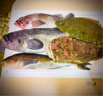 みんなの投稿の画像